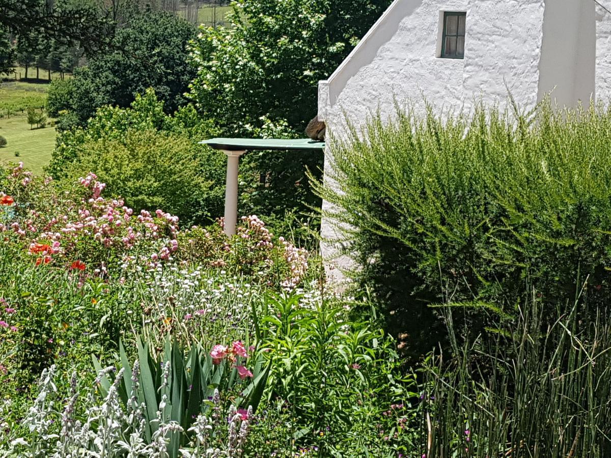 Rosebury Cottage Underberg Exterior photo